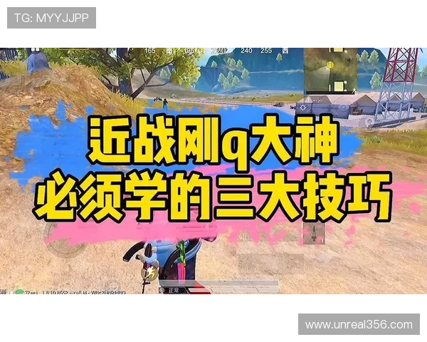皇家棋牌如何快速提升等级和积分详细攻略助你成为游戏中的高手